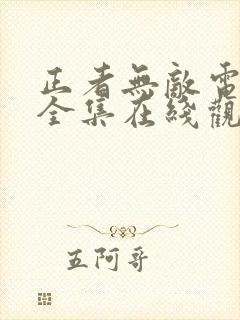 正者无敌电视剧全集在线观看免费