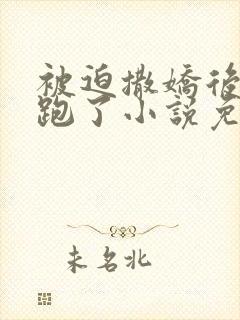 被迫撒娇后我逃跑了小说免费