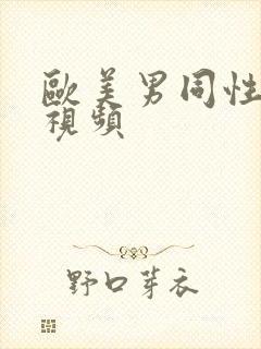 欧美男同性激情视频