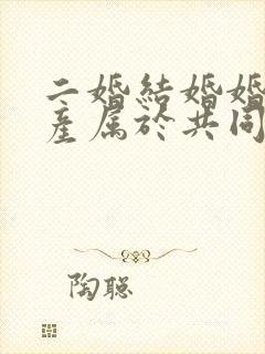 二婚结婚婚前财产属于共同财产吗封面