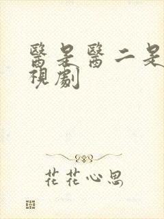 医是医二是二电视剧