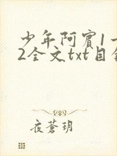 少年阿宾1一72全文txt目录