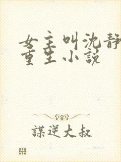 女主叫沈静姝的重生小说