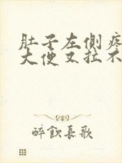 肚子左侧疼痛想大便又拉不出封面