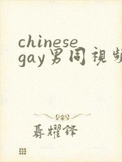 chinesegay男同视频网站封面