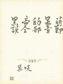 黑帝的呆萌妻小说全部章节