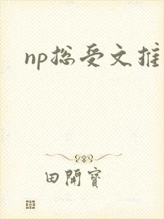 np总受文推荐
