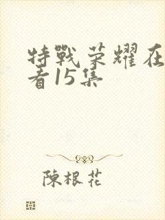 特战荣耀在线观看15集