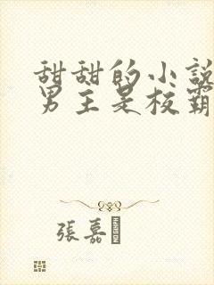 甜甜的小说校园男主是校霸