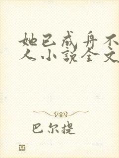 她已成舟不渡故人小说全文阅读封面