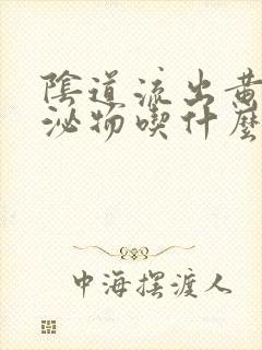 阴道流出黄色分泌物吃什么药