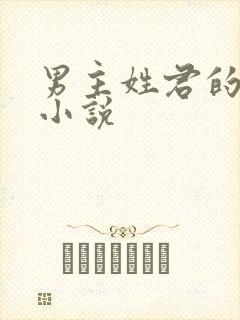 男主姓君的全部小说