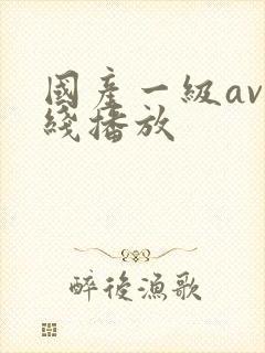 国产一级av在线播放