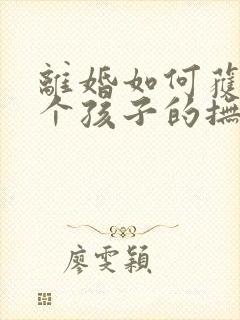 离婚如何获得两个孩子的抚养权封面