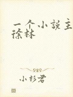 一个小说主角叫徐林封面