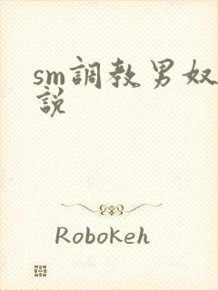sm调教男奴小说