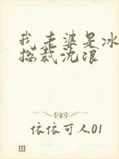 我老婆是冰山女总裁沈浪