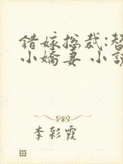 错嫁总裁:替身小娇妻 小说