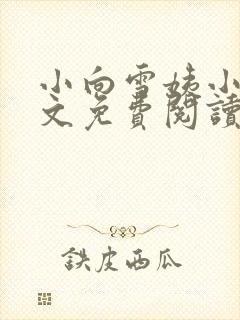 小向雪姨小说全文免费阅读最新章节封面