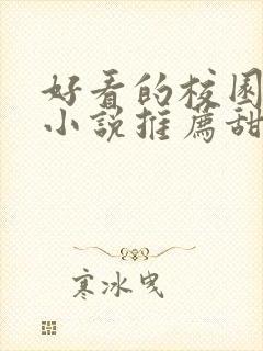 好看的校园言情小说推荐甜宠文