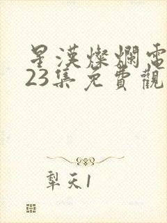 星汉灿烂电视剧23集免费观看