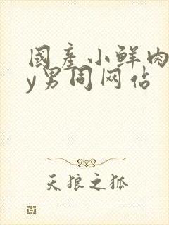 国产小鲜肉gay男同网站