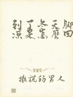 到了冬天脚就冰凉是怎么回事封面