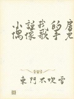 小说我的房东是偶像歌手免费阅读封面