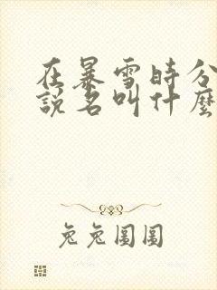 在暴雪时分的小说名叫什么