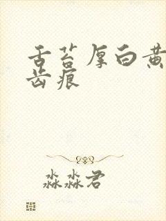 舌苔厚白黄腻有齿痕