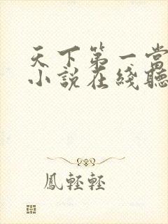 天下第一当有声小说在线听