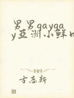 男男gaygay亚洲小鲜肉网站