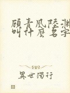 顾青凰陆渊小说叫什么名字