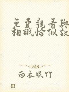 免费观看与君初相识恰似故人归电视剧