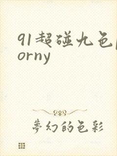 91超碰九色porny