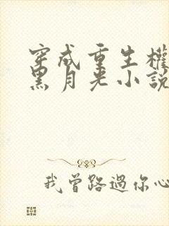 穿成重生权臣的黑月光小说