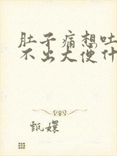 肚子痛想吐又拉不出大便什么原因