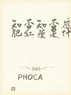 知否知否应是绿肥红瘦是什么时候拍的