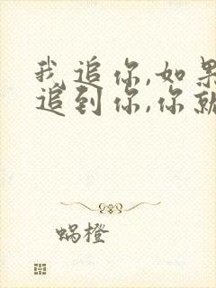 我追你,如果我追到你,你就让我嘿嘿嘿