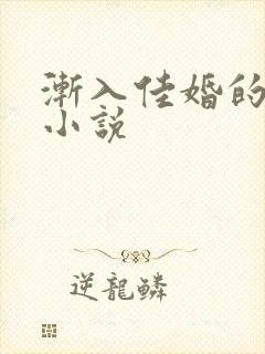 渐入佳婚的原著小说