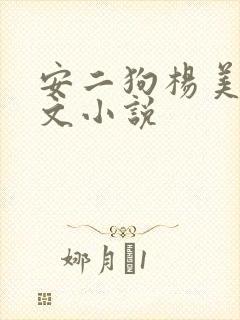 安二狗杨美玲全文小说封面