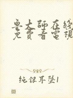 鲁大师在线播放免费看电视剧大全