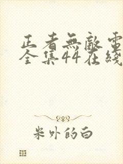 正者无敌电视剧全集44在线观看封面