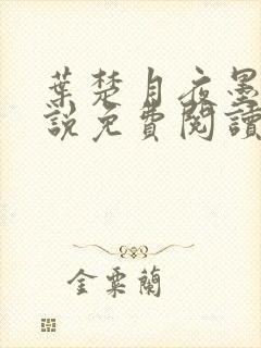 叶楚月夜墨寒小说免费阅读封面