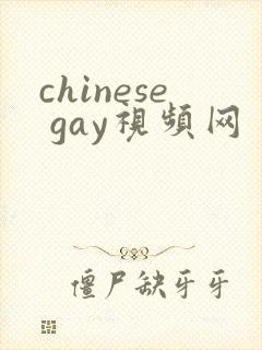 chinese gay视频网