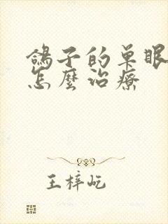 鸽子的单眼伤风怎么治疗