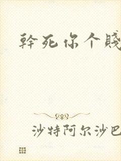 干死你个贱货封面