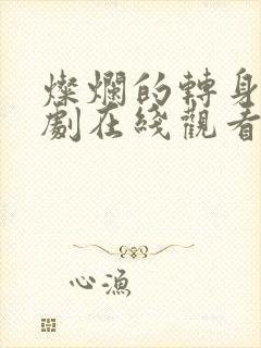 灿烂的转身电视剧在线观看高清完整免费