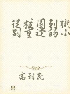 从校园到职场久别重逢的小说封面