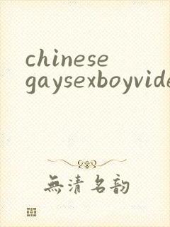 chinesegaysexboyvideo封面